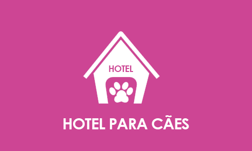 hotel-canil-alto-da-serra2.png